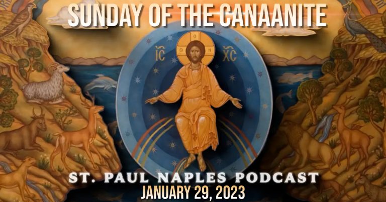 January 29, 2023 – Sunday of the Canaanite (Ep 26)